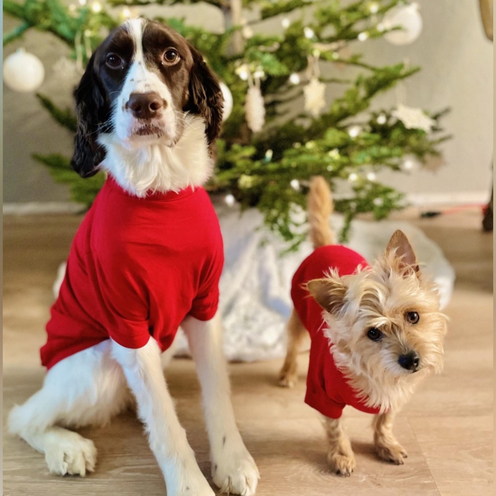 J. Crew Skin X J.Crew Pet T-shirt X Red Dog Shirt.